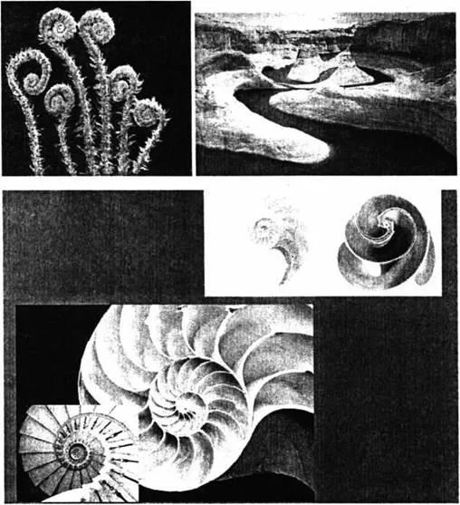 D:\0 wd yedek\acr yedek\1 film indirme\forbidden_magic_ancients_12_dosyalar\image024.jpg
