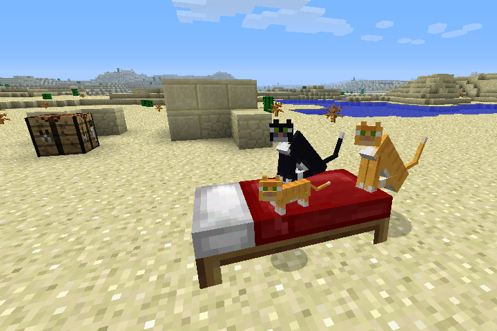 Common Mistakes to Avoid When Tame a Cat in Minecraft
