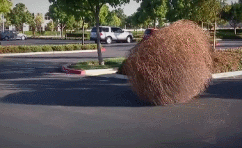 GIF of a rolling tumbleweed in a car park