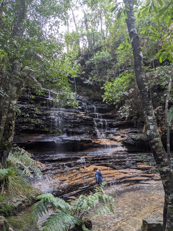 school holidays in the Blue Mountains, 5 waterfalls loop track south lawson