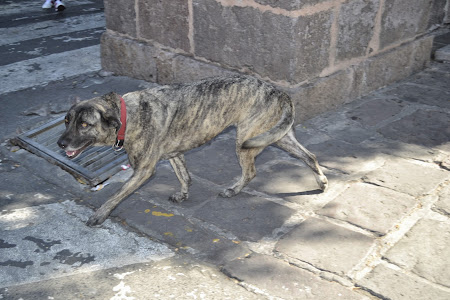 Мексика. И станут направления дорогами.