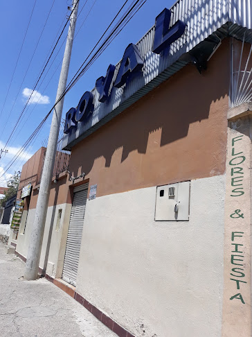 Comentarios y opiniones de ROYAL CLUB
