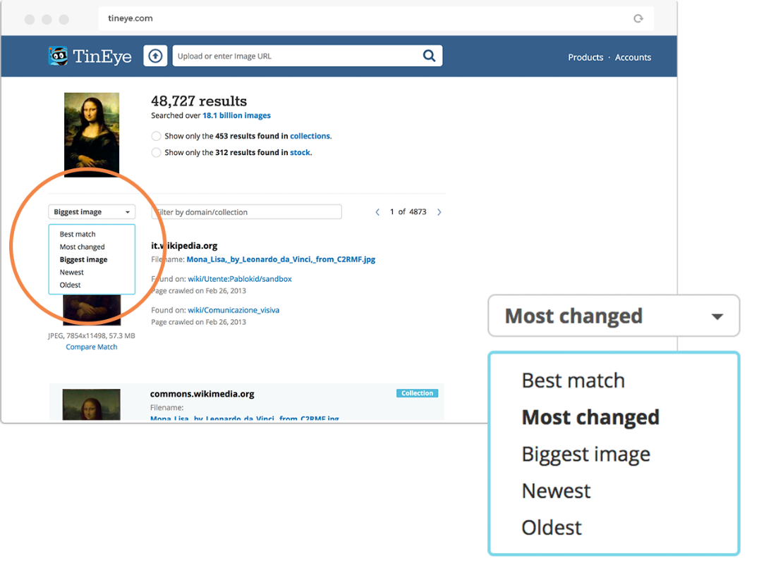 How to use TinEye to search for an image online – TinEye Blog