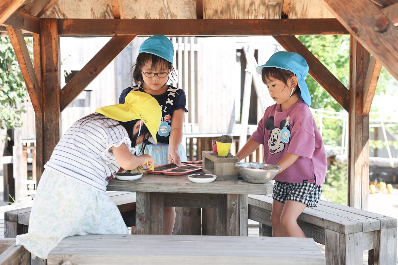 ふたば幼稚園が「遊びこむ園庭」にこだわる理由とは。子どもの能力を引き出す環境づくりについて