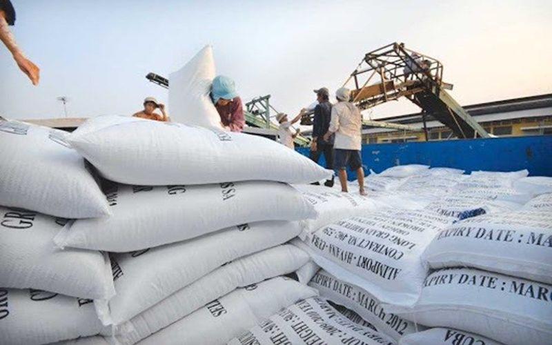 VNTB – Giá lúa gạo xuất khẩu tăng: Ai hưởng lợi?