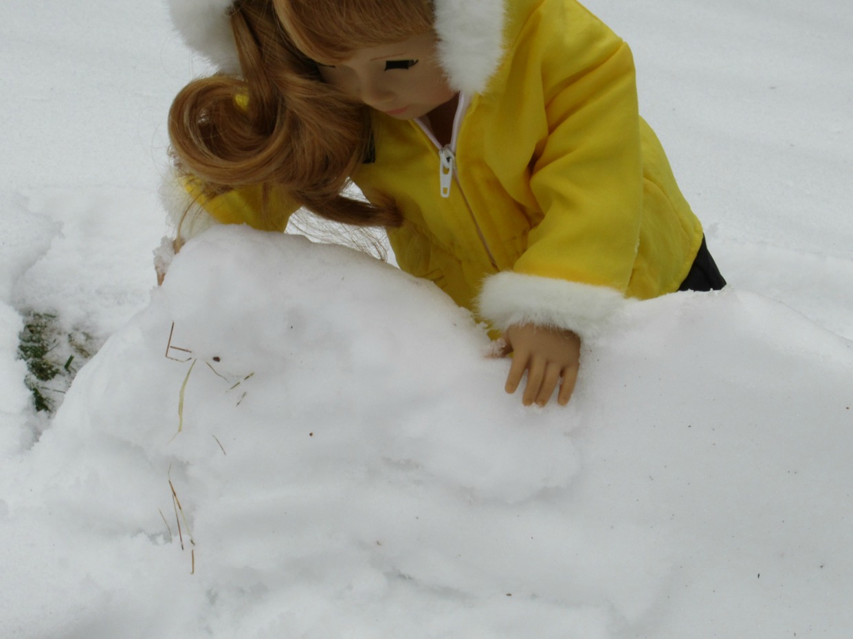 American girl doll snow.jpg