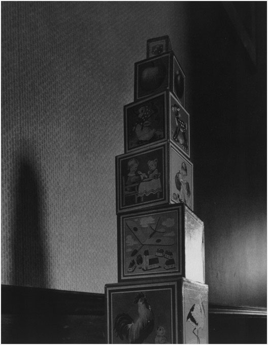 Abelardo Morell.jpg