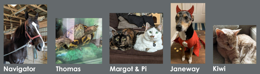 Pets of Frisco Library