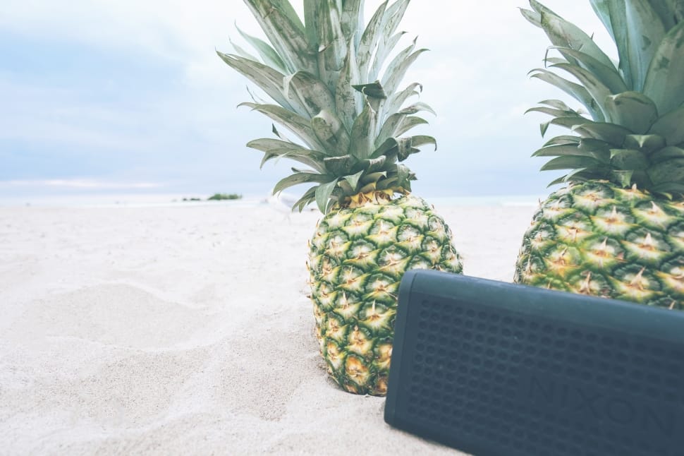 2 pineapples and black nixon portable speaker free image | Peakpx