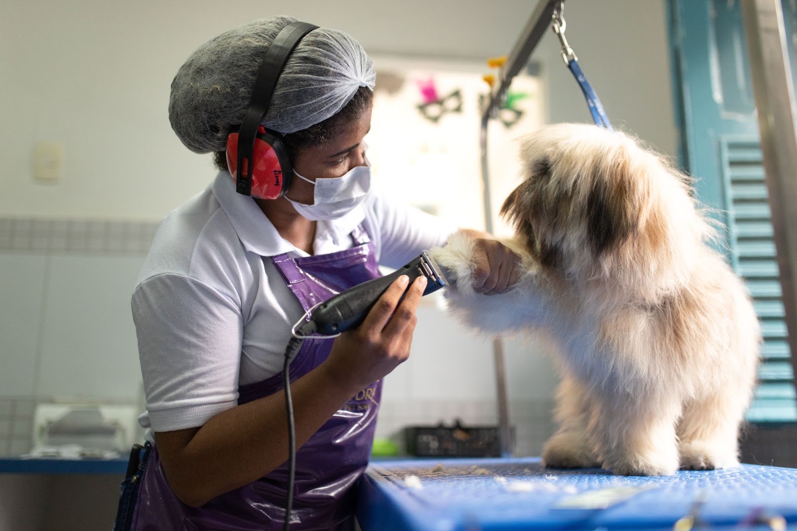 funcionária do pet shop dando banho em cachorro peludo
