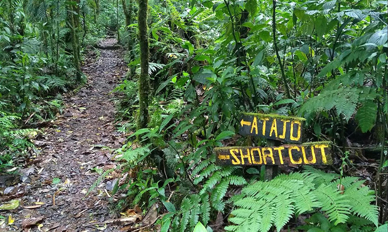 Santa Elena Cloud Forest Reserve