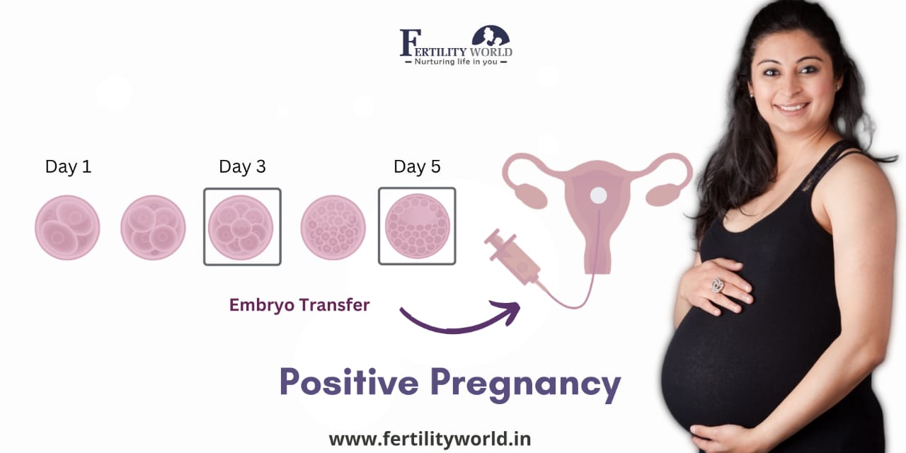 IVF success rate in Ludhiana