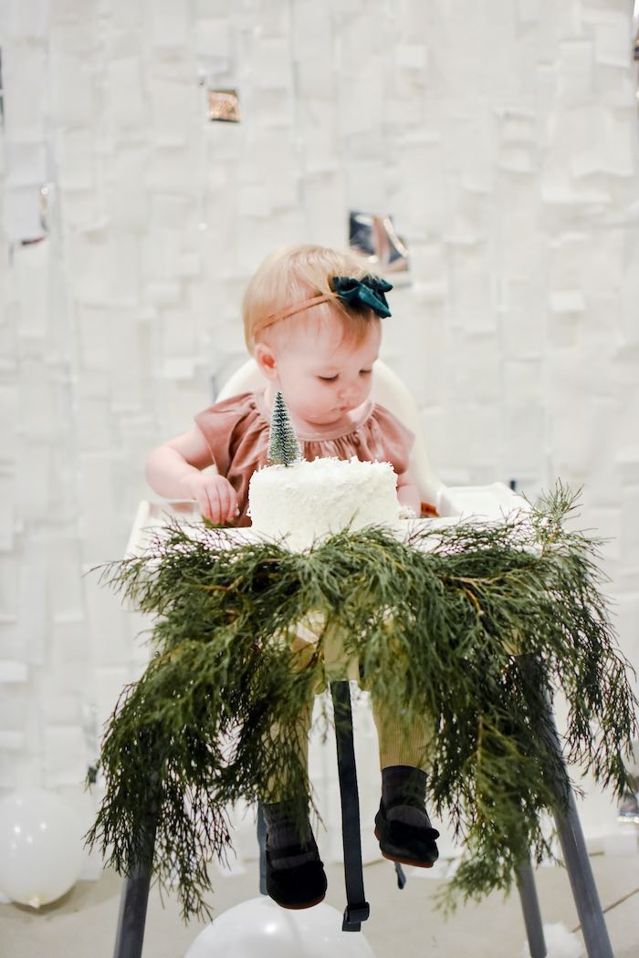 Winter Cake Smash from a Winter ONEderland 1st Birthday Party on Kara's Party Ideas | KarasPartyIdeas.com (15)