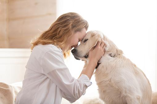 細心觀察狗狗的狀態和作息，就有機會提早揪出腎臟方面的疾病問題。