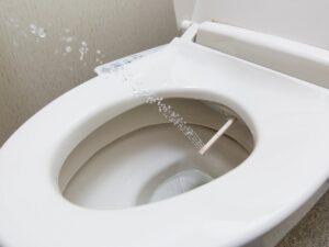 bidet toilet combo