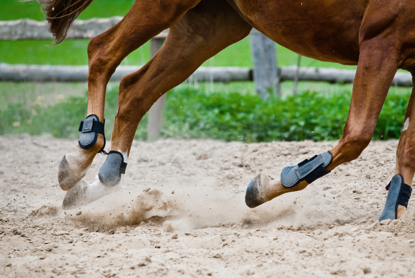 horse riding through dry sandy surface