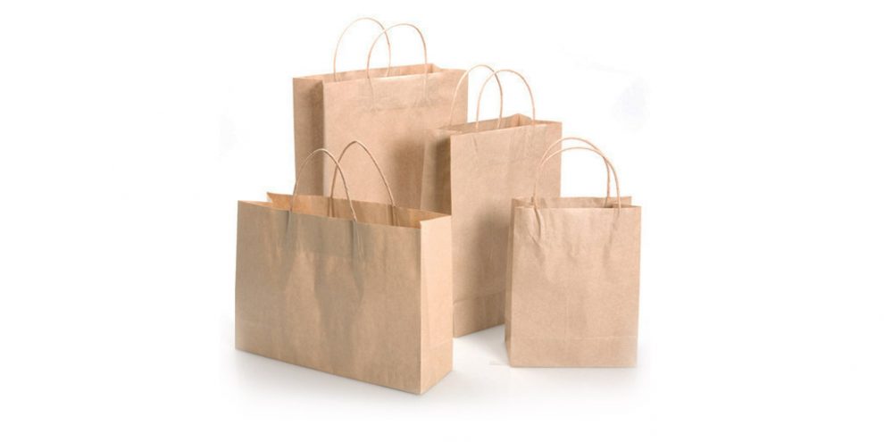 Paper Shopping Bags | Business Ideas for Rural Areas