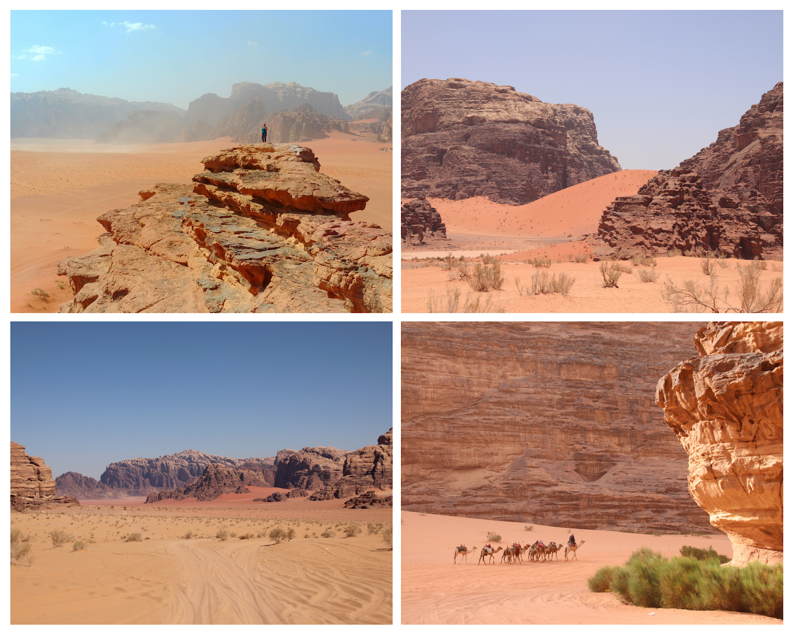 Le désert de Wadi Rum Jordanie
