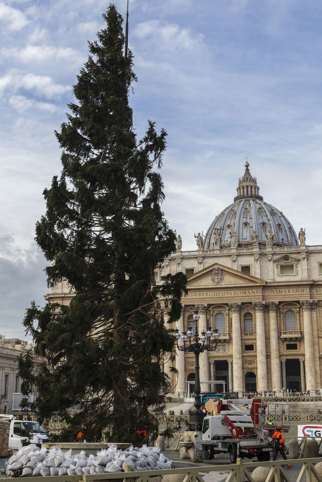 Cây thông Giáng sinh ở Quảng trường Vatican