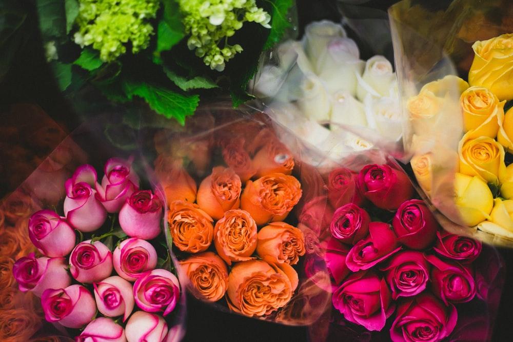 flores para presentes em buques rosas, brancos, amarelos e laranjas
