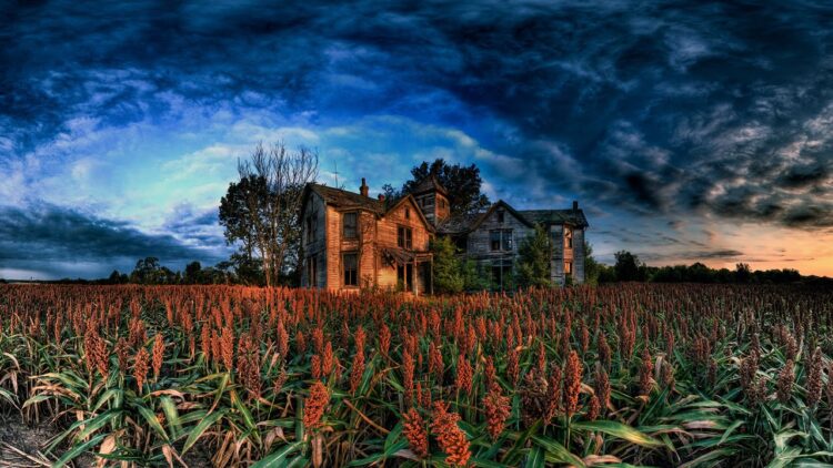 An eerie and unsettling depiction of a farm.