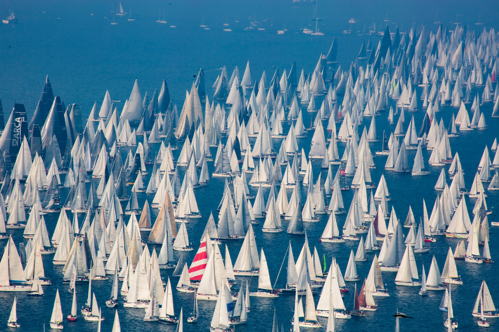 For everyone and everyone - the world boom of sailing races