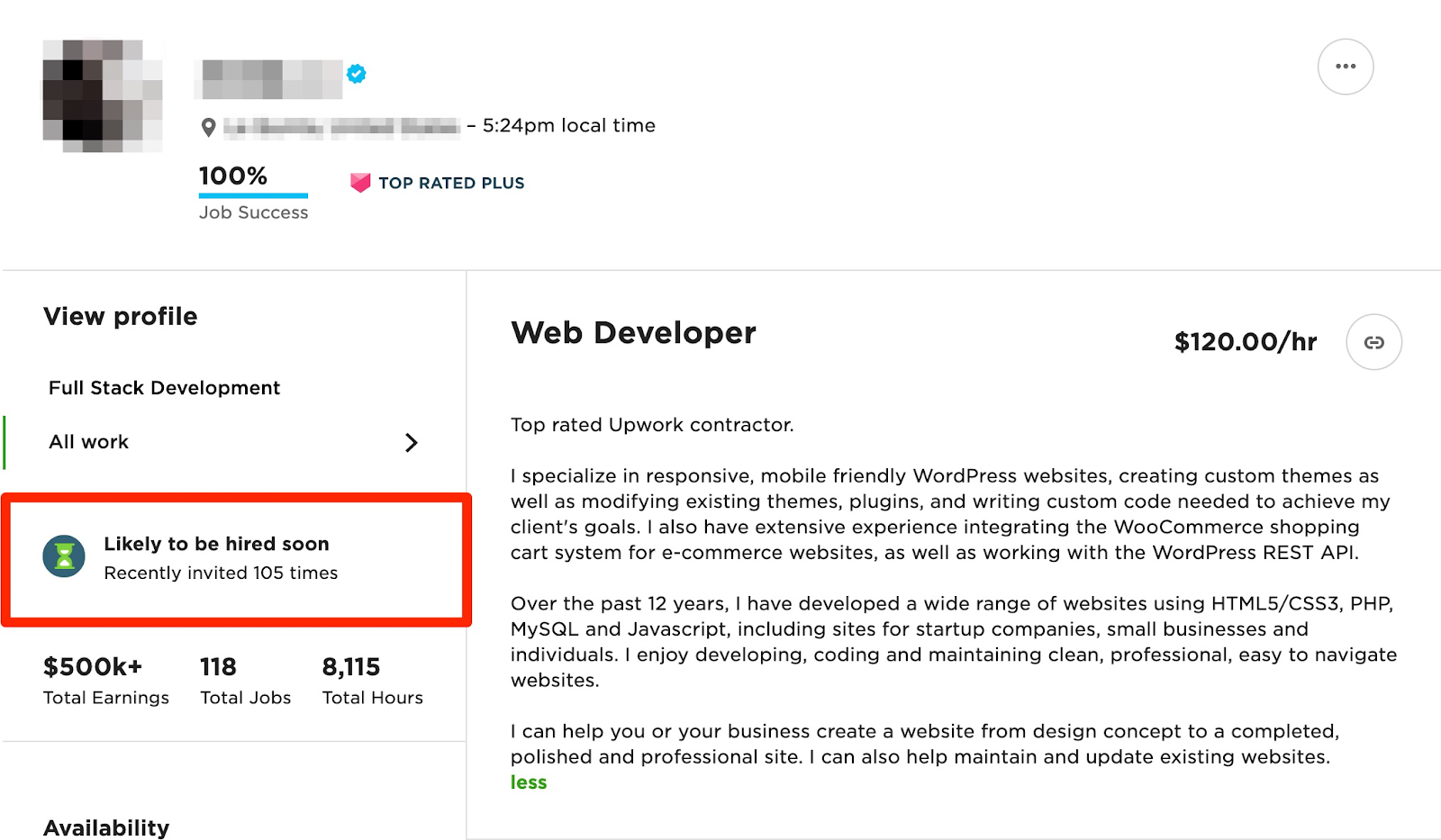 Upwork professional overview