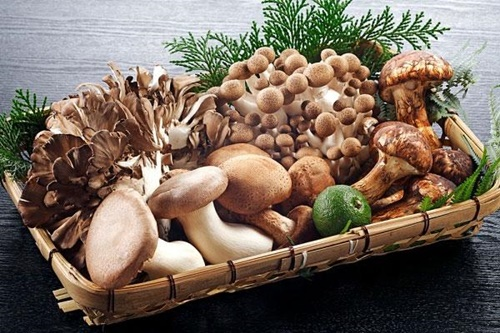 Nấm có thể gây hại cho dạ dày nếu không chế biến đúng cách