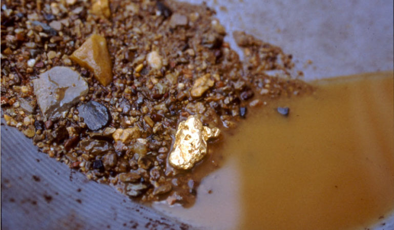 A gold nugget among sand and small stones in a mining pan at Reed Gold Mine in North Carolina.