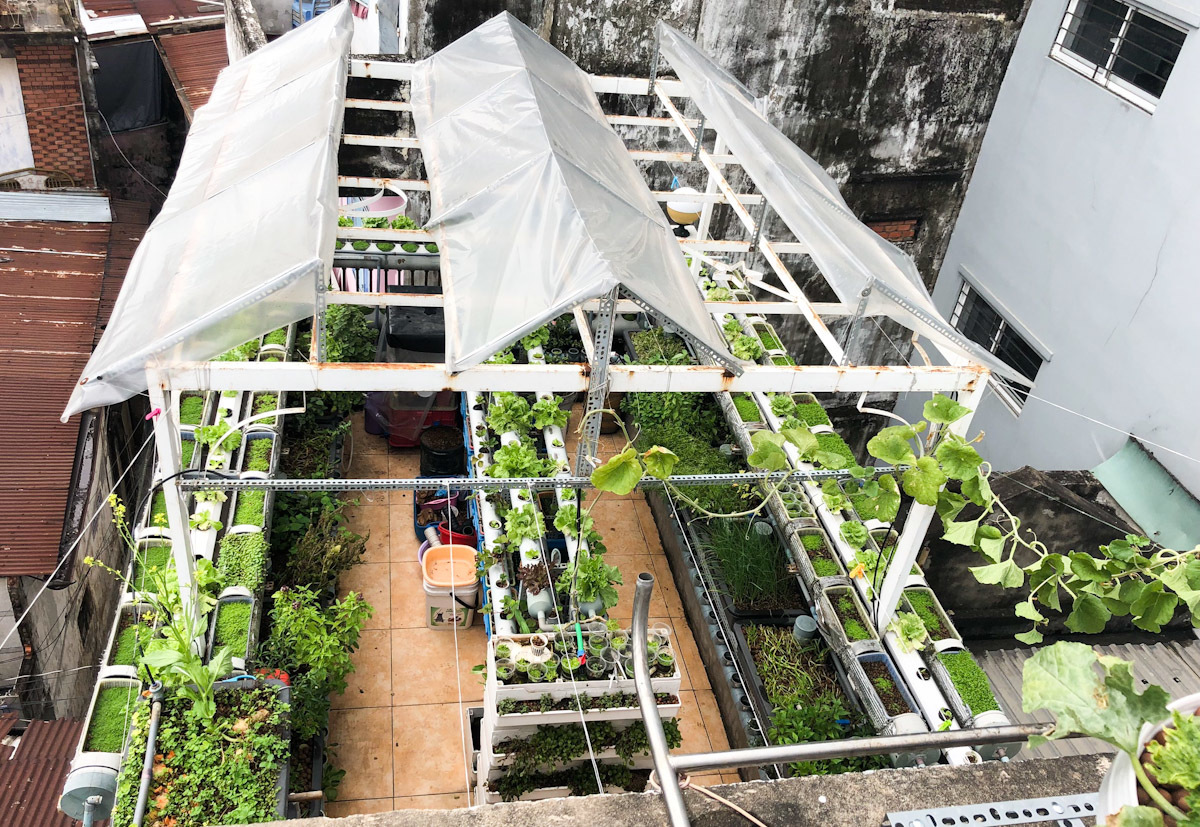 Mô hình trồng rau trên mái nhà