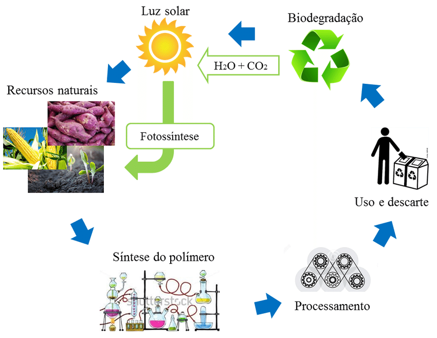 Resultado de imagem para Ciclo de vida ideal dos polímeros biodegradáveis provenientes de fontes renováveis
