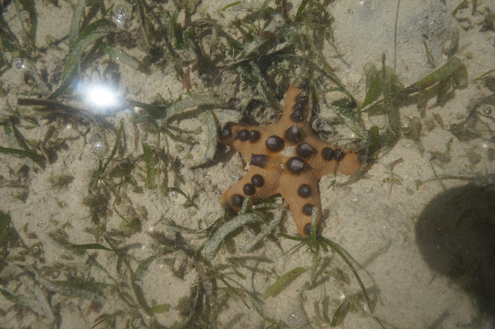 DSC08290.JPG
