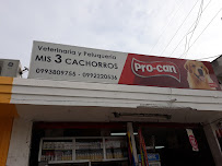 Comentarios y opiniones de Mis 3 Cachoritos Tienda Veterinaria