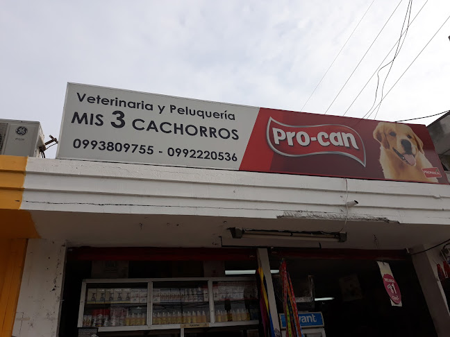 Opiniones de Veterinaria Y Peluquería Mis 3 Cachorros en Guayaquil - Peluquería