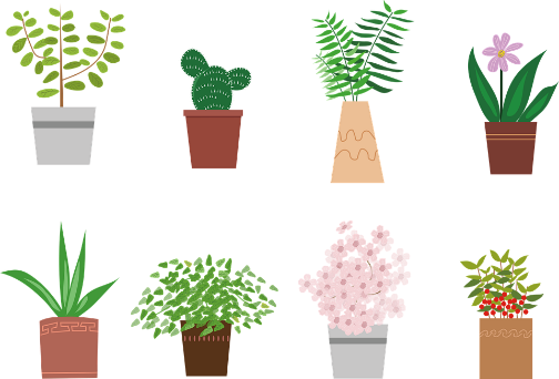 https://lh5.googleusercontent.com/xuCccRdK5DPTXF8iQJ3Pq4hnO3NF75IYscmLYSHqmP8dxRYT1tb87NpiYscHPRqFKIMEePiIJvz7hsI8AgPjjFSrcTAKZhvzziUYC-rBWarGenBgPFXgo_NEbyNaKJ2F3DorxRgk