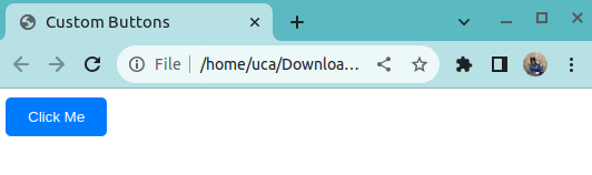 custom button in css