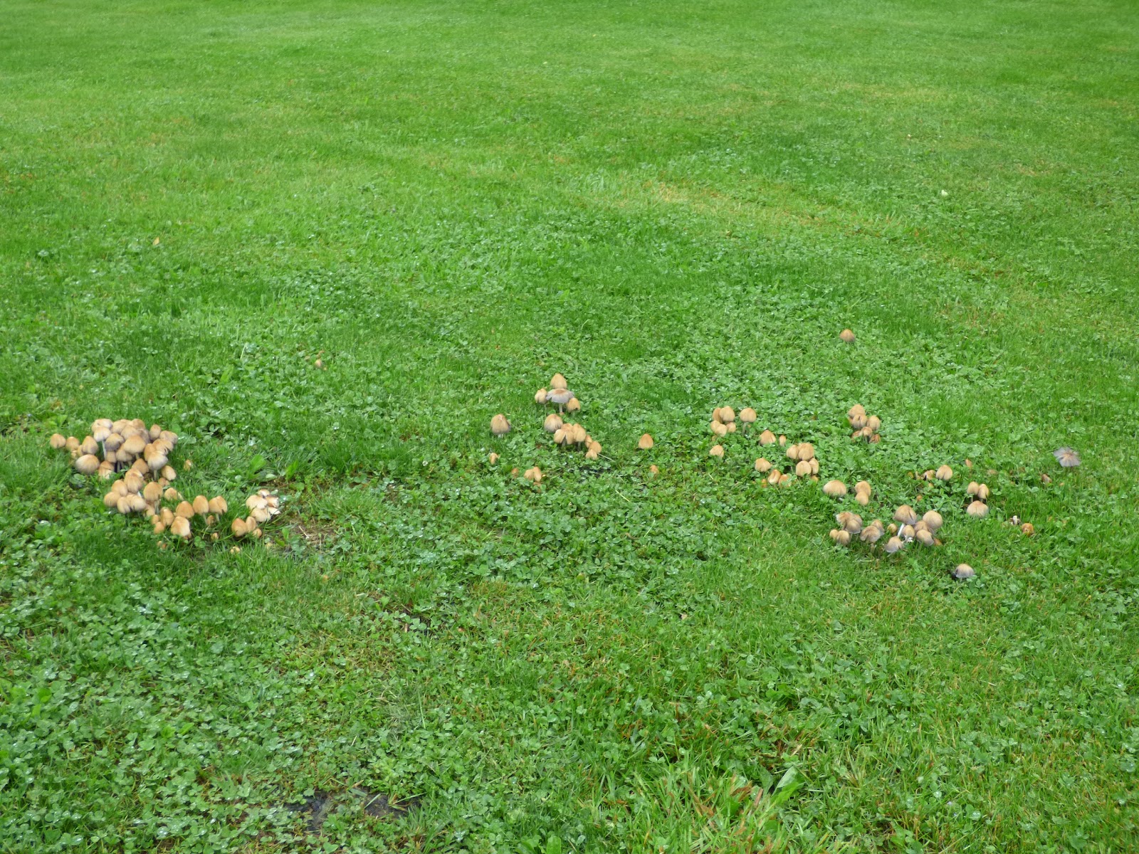 P1030401.JPG