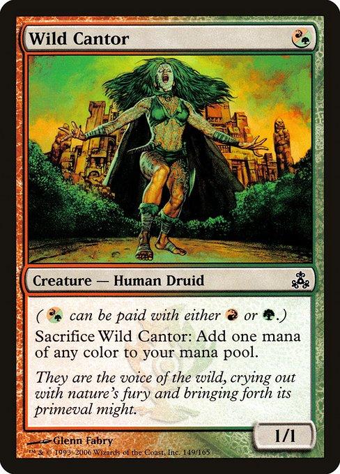 Wild Cantor (GPT)
