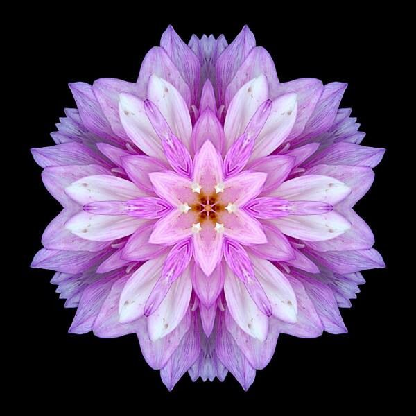 Image result for purest purple flower