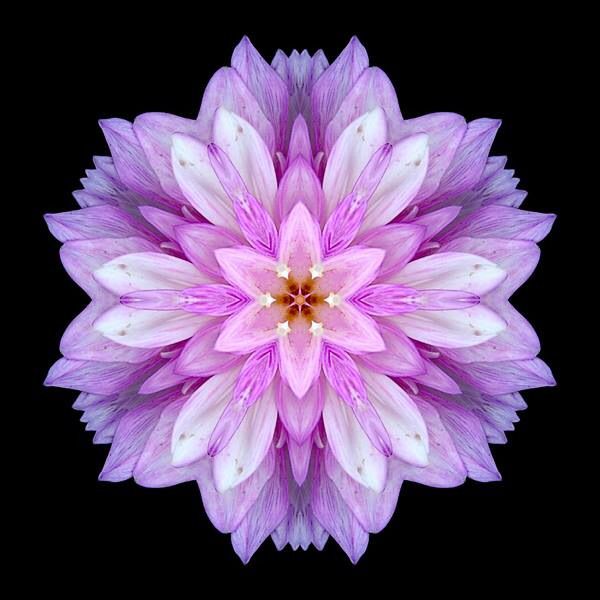 Image result for purest purple flower