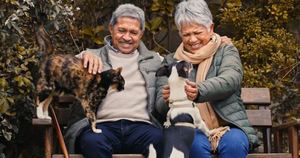 Shot of a happy senior couple playing with their pets while relaxing in a garden Follow the paw prints all the way home dog senior owner stock pictures, royalty-free photos & images