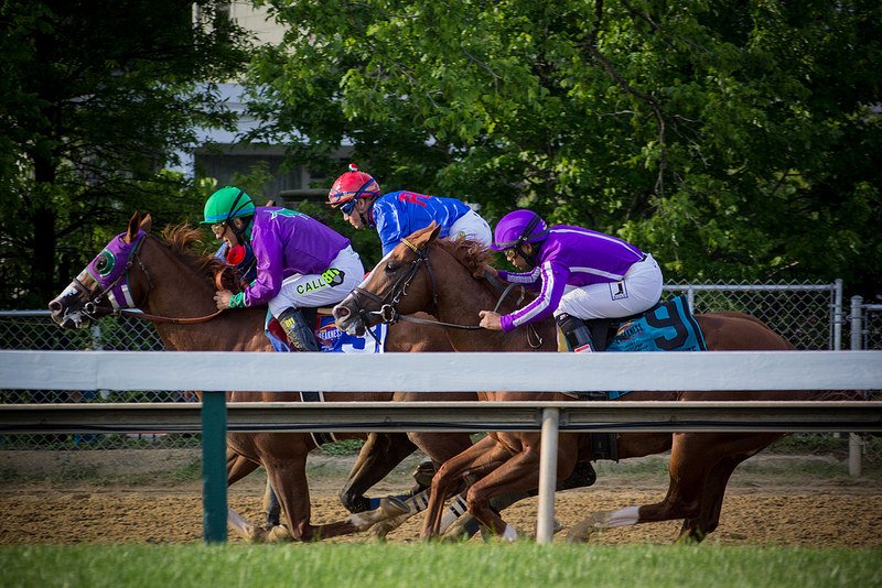 Belmont Stakes horse race betting