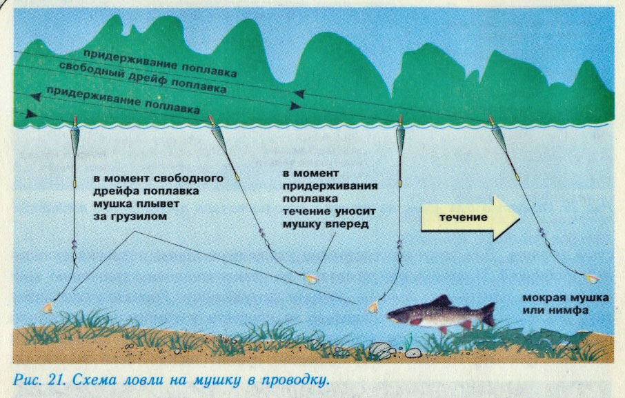 Рыбалка: воблеры для форели в горной реке