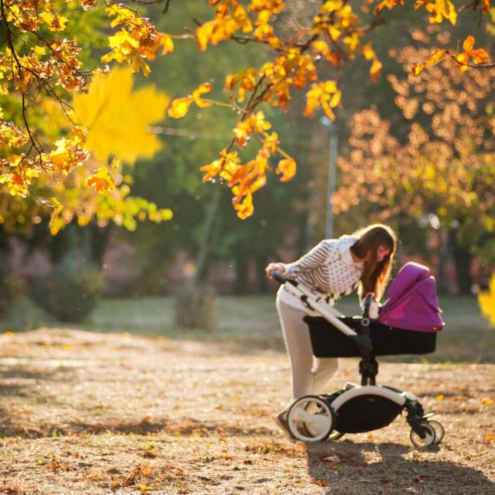 Best Strollers