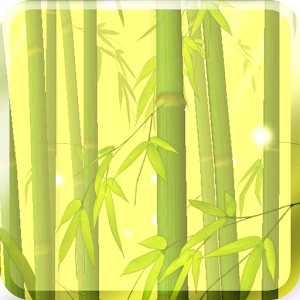Bamboo Forest Live Wallpaper apk Download