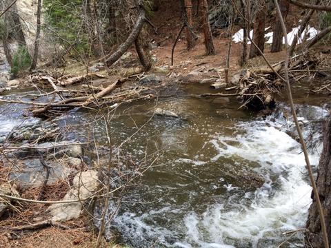 Fording a flooded Beaver Creek during a hike in Genesee outside Denver. 