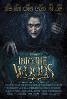 Into The Woods.jpg