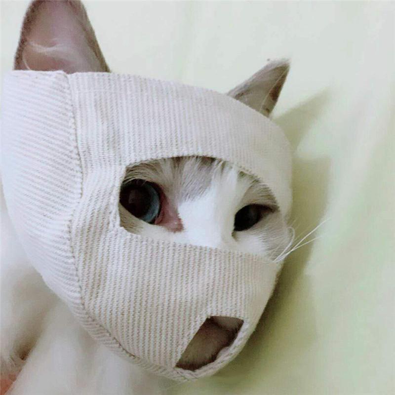 Image result for CAT WEAR MASK