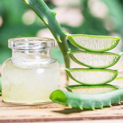                                              The Chicster Diaries: Top 5 Benefits Of Aloe Vera Gel