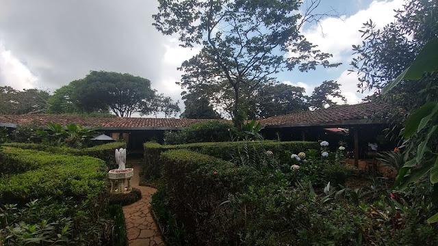 Flowers at Jardin de Celeste